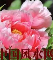 云南预示你财运上升，姻缘可成的梦境，快来看看吧！