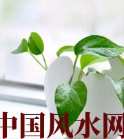 云南家中摆放六种吉祥物，会打开您的财运大门！