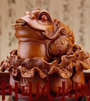 云南解读金蟾最合适的位置，这样摆放更招财！