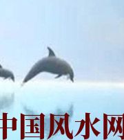 云南做梦梦到这些，是要富裕的征兆！